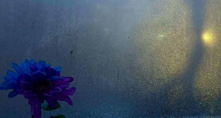 Frosted window with condensation, distant warm glow, and a small plastic flower on the windowsill.